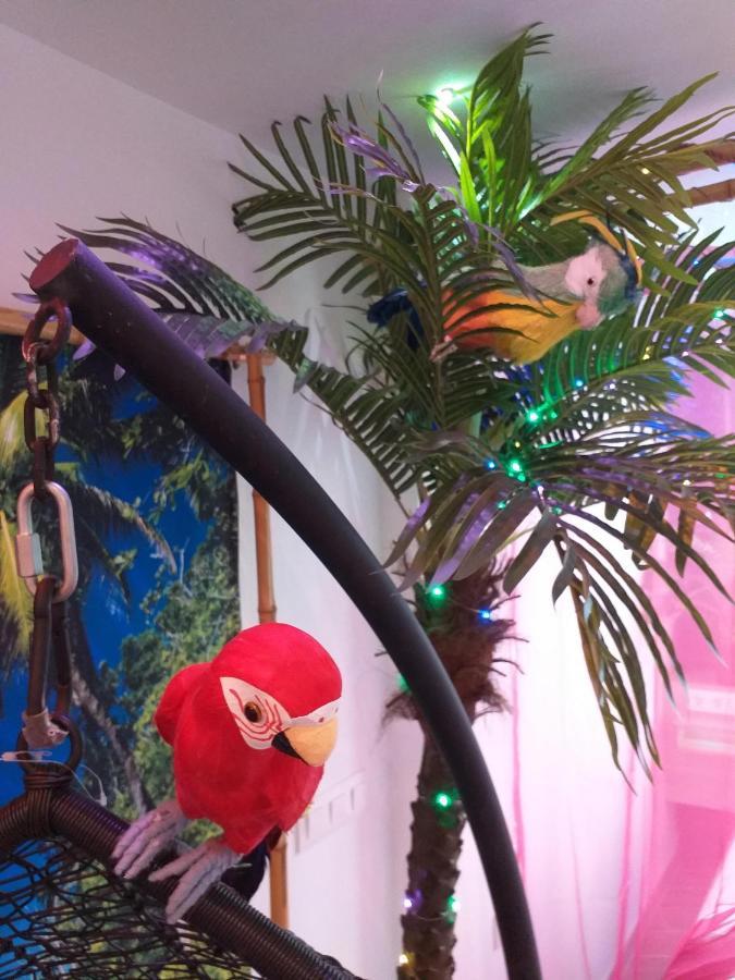 Wonder Paradisio Studio 内尔哈 外观 照片